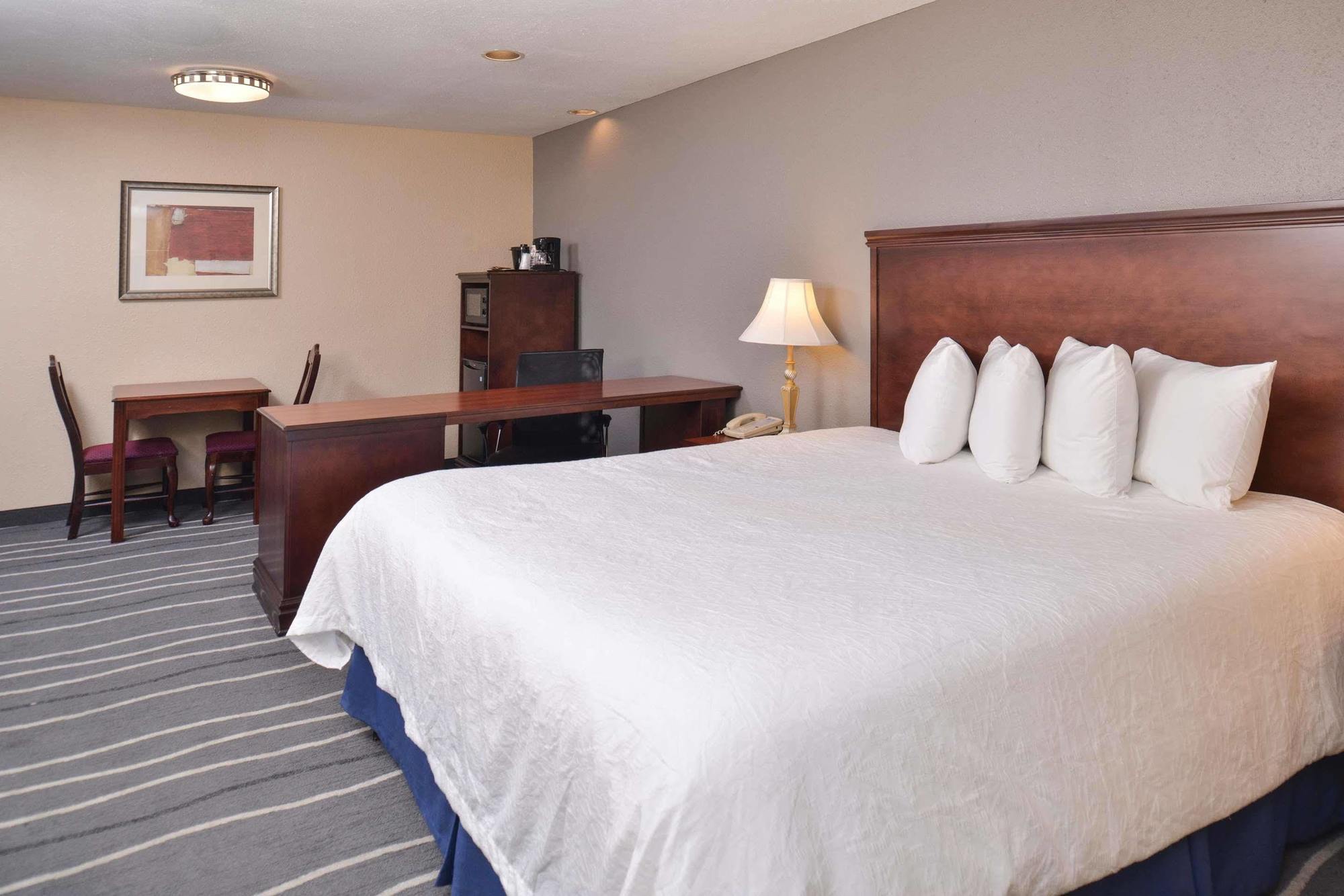 Irving Inn & Suites At Dfw Airport מראה חיצוני תמונה